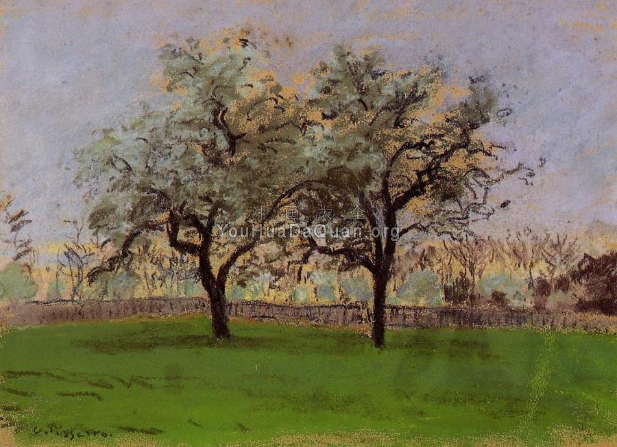 Apple Trees at Pontoise - 卡米耶·毕沙罗